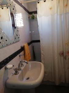 a bathroom with a sink and a shower curtain at La casa de Lily in Alta Gracia