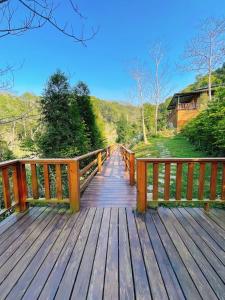 a wooden bridge with a view of a river at CTWOBlue MG in Miaoli