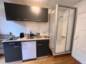 a small kitchen with a sink and a shower at Kleines Nest im Zentrum, eigener Eingang, Parkplatz, kostenloses Wlan in Dornbirn