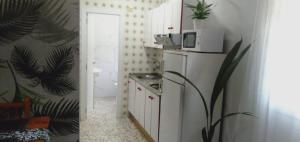 una pequeña cocina con nevera y microondas en Apartamentos Camping El Palmar en El Palmar