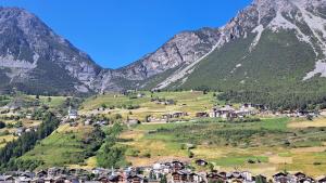 un pueblo en una colina con montañas en el fondo en Residence Raethia tra Bormio e Livigno, en Valdidentro