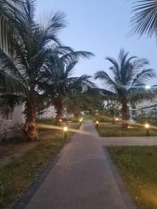 a sidewalk with palm trees and lights on it at البيت بيتك in King Abdullah Economic City