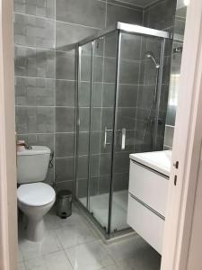 La salle de bains est pourvue de toilettes et d'une douche en verre. dans l'établissement Appartement 100 m2 hyper centre Saint-Raphaël, à Saint-Raphaël