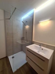 baño con lavabo y ducha con puerta de cristal en Aquamarin Studio 209 en Bad Mitterndorf