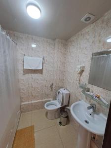 a bathroom with a toilet and a sink at Sofiya Tashkent Hotel in Tashkent