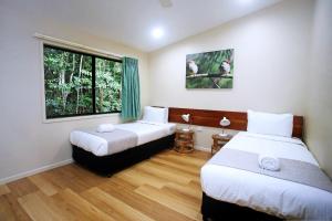 Postel nebo postele na pokoji v ubytování Chambers Wildlife Rainforest Lodges + 37 fotografií