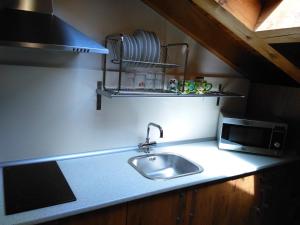 encimera de cocina con fregadero y microondas en ALDAJO Apartments, en Segovia