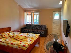 ソバタにあるCasa de vacanță Orsiのベッド1台とファン付きの小さな客室です。