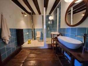 a bathroom with a sink and a toilet and a mirror at Kukuma Etxea Habitaciones con derecho a cocina in Galarreta