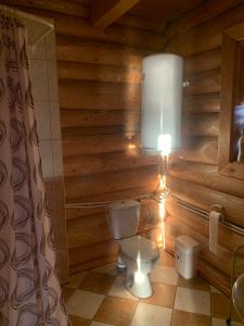een badkamer met een toilet in een blokhut bij Poilsis ant Virintų ežero kranto in Molėtai