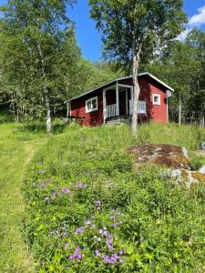 a red house in the middle of a field with flowers at Tänndalens Stugby in Tänndalen