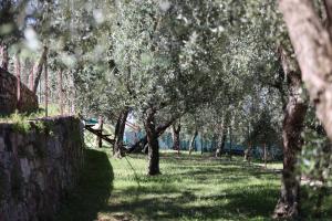 Zahrada ubytování Agricampeggio Paradiso