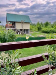 a glass of wine sitting on a fence at Sava River IN in Ledine