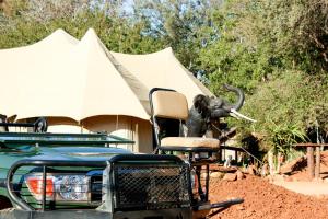 a statue of an elephant standing next to a truck at Karongwe Portfolio - Chisomo Safari Camp in Karongwe Game Reserve