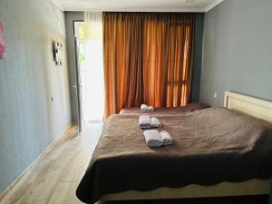 Voodi või voodid majutusasutuse Hotel Vardzia Terrace toas