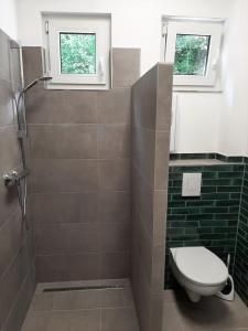 La salle de bains est pourvue de toilettes, d'une douche et de 2 fenêtres. dans l'établissement Art Deco Villa Bacharach, à Bacharach