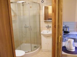 a bathroom with a shower and a sink and a toilet at Domki WIKA 2 in Ustka