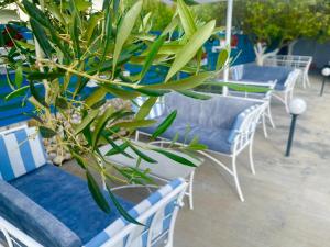 Gallery image of KRED HOTEL in Orikum