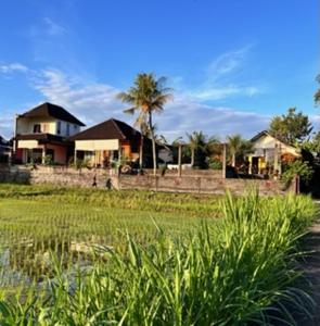ein Haus mit einer Palme vor einem Feld in der Unterkunft Bali Traditional homestay in Gianyar