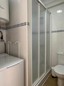 uma casa de banho com um WC e uma cabina de duche em vidro. em Beachfront mar de plata em Algarrobo