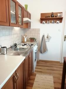 a kitchen with a sink and a stove at Apartman Classic in Komárno