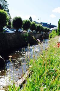 ein Fluss mit Gras und Wasser in der Unterkunft Duplex accès jacuzzi illimité in Villedieu-les-Poëles + 4 Fotos