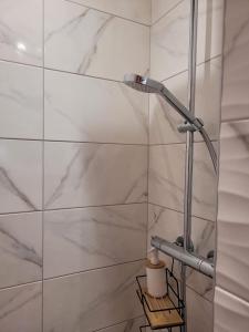 y baño con ducha y paredes de mármol. en l'Ancre Vive, en Charentay