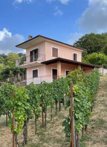 una casa con un montón de vides delante de ella en Pink House, en Perdifumo