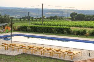 una fila di sedie seduta accanto alla piscina di Palombara Country House a Montecchio