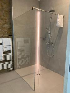 a shower with a glass door in a bathroom at Scheier (Ferienwohnungen) in Perl +123 photos