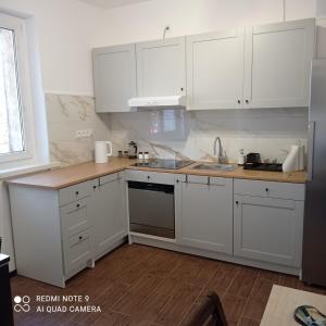 kuchnia z białymi szafkami i zlewem w obiekcie Hostel Wiśniowa 55 we Wrocławiu