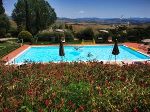Bazén v ubytování Agriturismo LUCERTOLA nebo v jeho okolí
