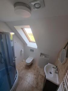 a bathroom with a toilet and a sink and a skylight at Agroturystyka Giławy in Giławy
