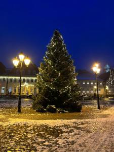 een kerstboom voor een gebouw met verlichting bij Ferienwohnung in Schmargendorf bei Angermünde in Angermünde