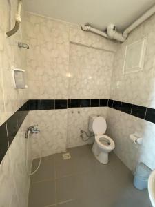 ein kleines Bad mit einem WC und einer Dusche in der Unterkunft AY OTEL 2 in Antalya