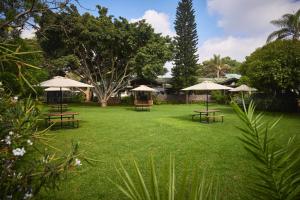 a park with picnic tables and umbrellas on the grass at Aero Club of East Africa in Nairobi
