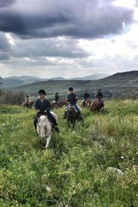 Jahanje kod hotela ili u blizini