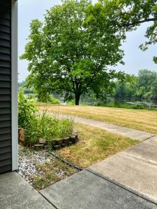 a house with a sidewalk and a tree in a field at 2 BR Family Friendly Nature Getaway near Golf Course in Kalamazoo