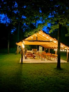 een paviljoen met picknicktafels en verlichting in de nacht bij Leśne zacisze-pole namiotowe in Pisklaki