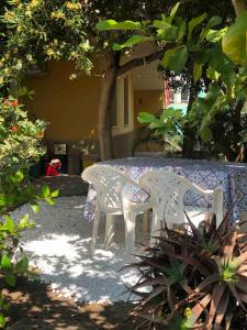 Κήπος έξω από το Under the Lemon Tree