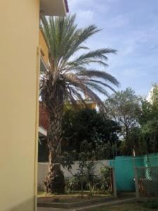 Φωτογραφία από το άλμπουμ του Under the Lemon Tree σε La Caletta