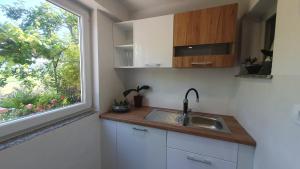 une cuisine avec un évier et une fenêtre dans l'établissement Apartment Irene, à Sečovlje