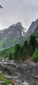 Paesaggio naturale nelle vicinanze dell'affittacamere