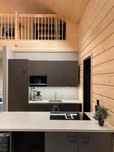 - une cuisine avec un évier et un comptoir dans l'établissement Black Work Levi Aarni, à Kittilä