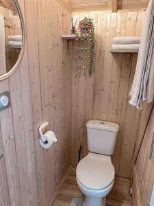a small bathroom with a toilet and a mirror at Roulotte „couleur“ in Condom