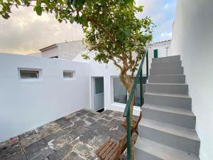 eine Treppe, die zu einem weißen Gebäude mit einem Baum führt in der Unterkunft Brisa do Mar in São Roque