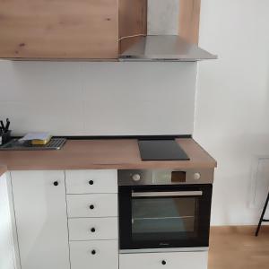 诺维萨德VIOLIN的配有炉灶和台面的厨房