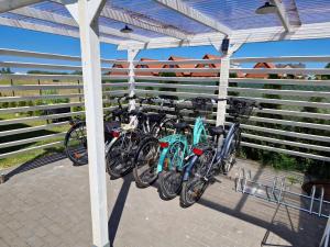 Jazda na bicykli v okolí ubytovania Fajne domki