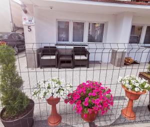 Villa Krysia 50 m do morza的阳台或露台