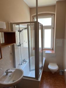 a bathroom with a shower and a sink and a toilet at Quartier am Nationalparkhaus in Bad Schandau +20 photos